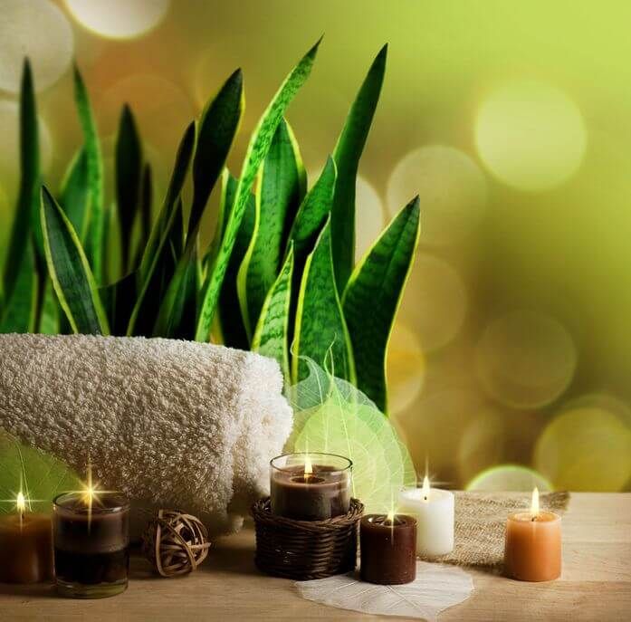 Spring Treatments From Louella Belle